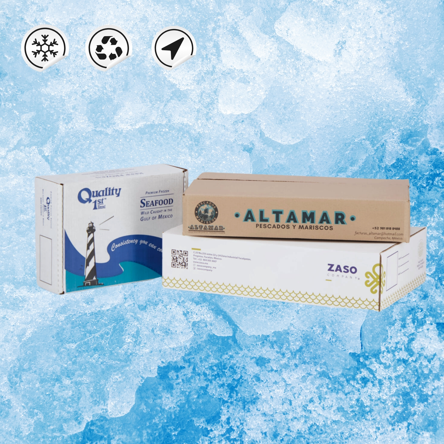 Cajas para congelados